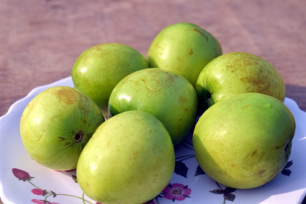Health benefits and side effects of Ber Indian Jujube