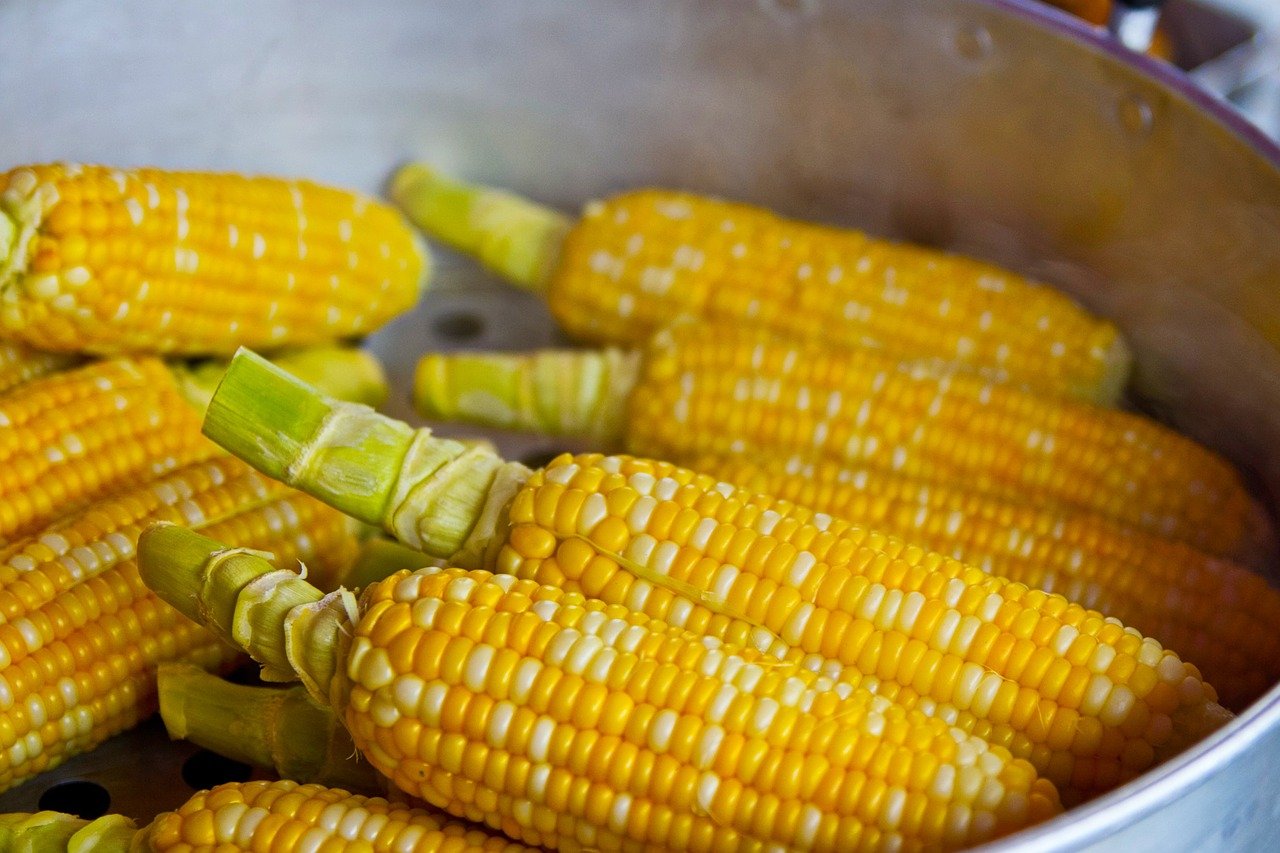 Corn a superfood for all