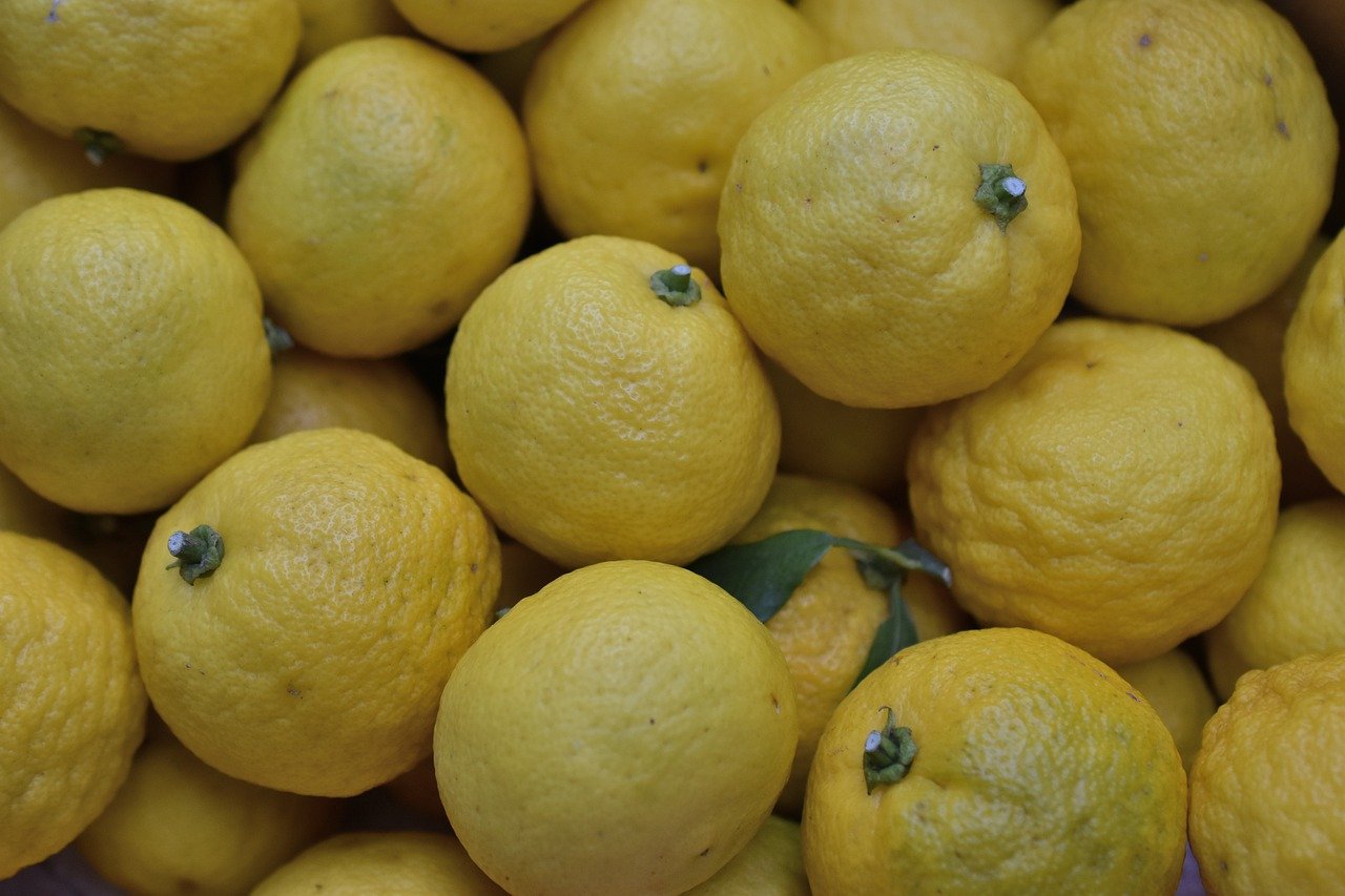 Yuzu an exotic citrus fruit